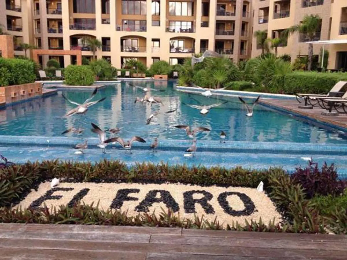 דירות פלאייה דל כרמן El Faro 206 Surf מקסיקו